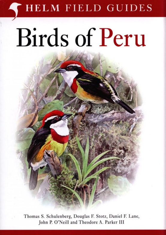 Vogelgids Peru - Birds of Peru | Helm Field guide | 9780713686739