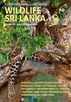 Wildlife of Sri Lanka