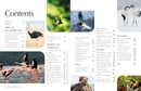 Reisinspiratieboek The Joy of Birdwatching | Lonely Planet