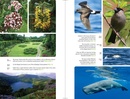 Reisgids Azores - Azoren | Bradt Travel Guides