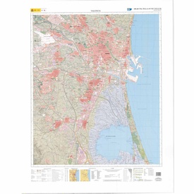 Stadsplattegrond Valencia y su entorno especial | CNIG - Instituto Geográfico Nacional