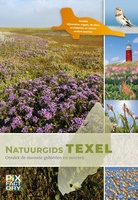 Texel
