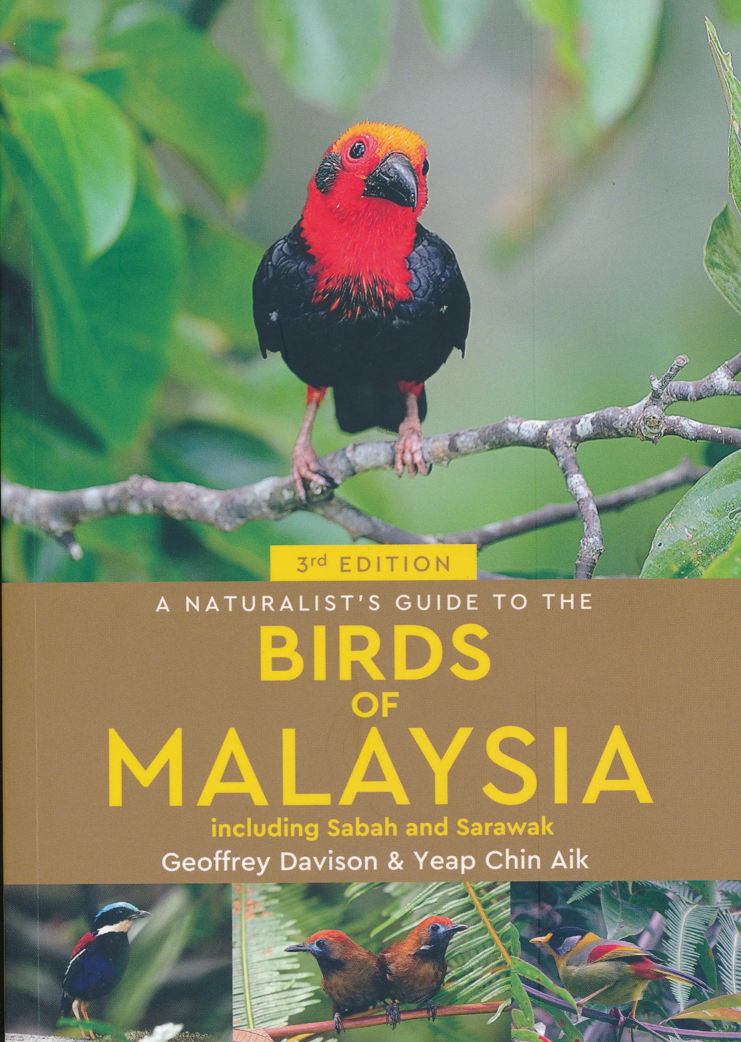 Online bestellen: Vogelgids - Natuurgids Naturalist's Guide to the Birds of Malaysia | JB publishing