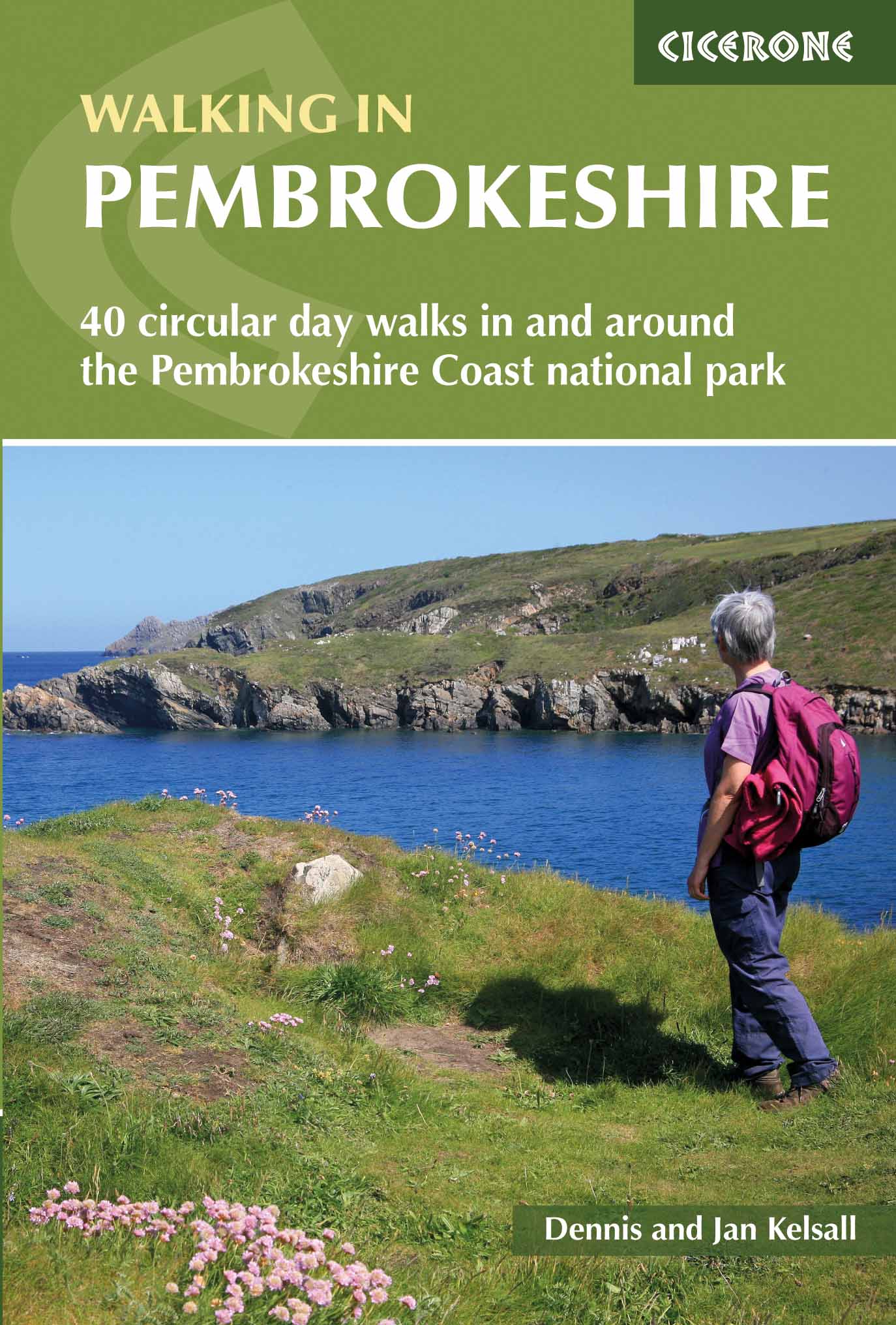 Wandelgids Walking in Pembroke…