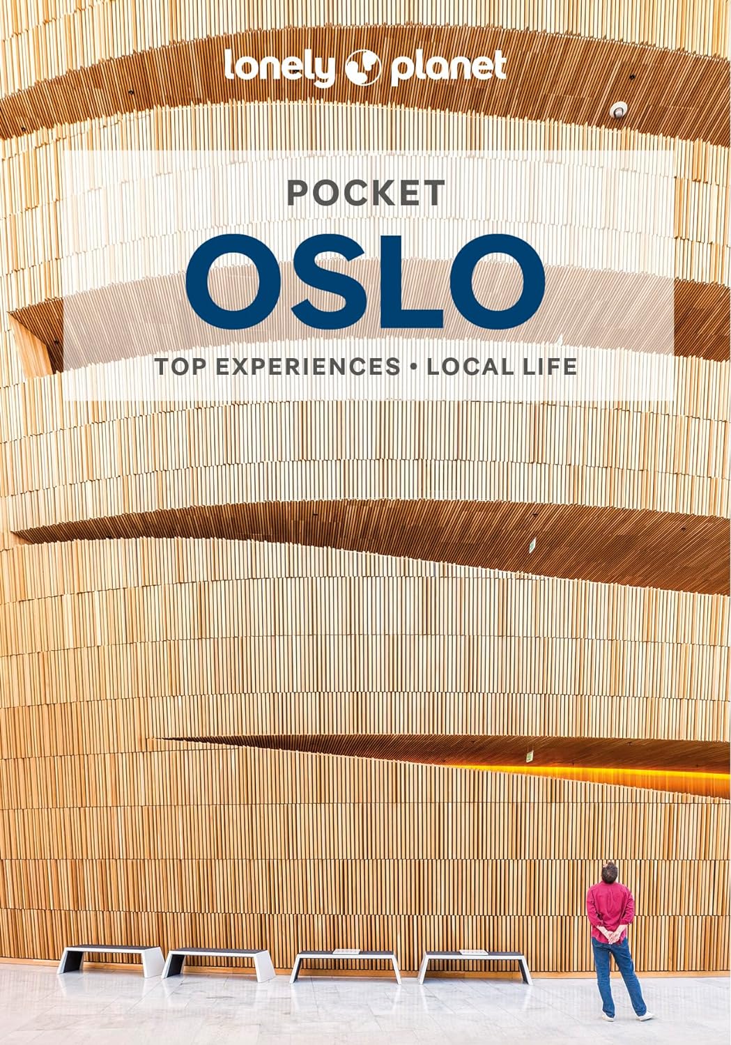 Online bestellen: Reisgids Pocket Oslo | Lonely Planet