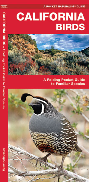 Online bestellen: Vogelgids California Birds | Waterford Press