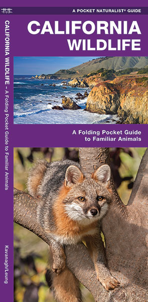 Online bestellen: Natuurgids - Vogelgids California Wildlife | Waterford Press