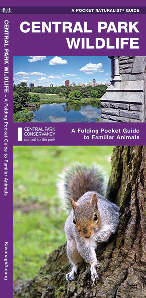 Online bestellen: Natuurgids Central Park Wildlife | Waterford Press