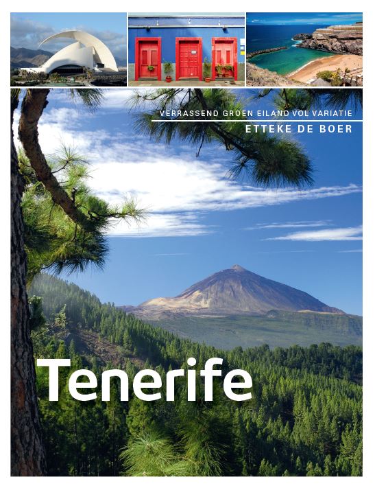 Online bestellen: Reisgids PassePartout Tenerife | Edicola
