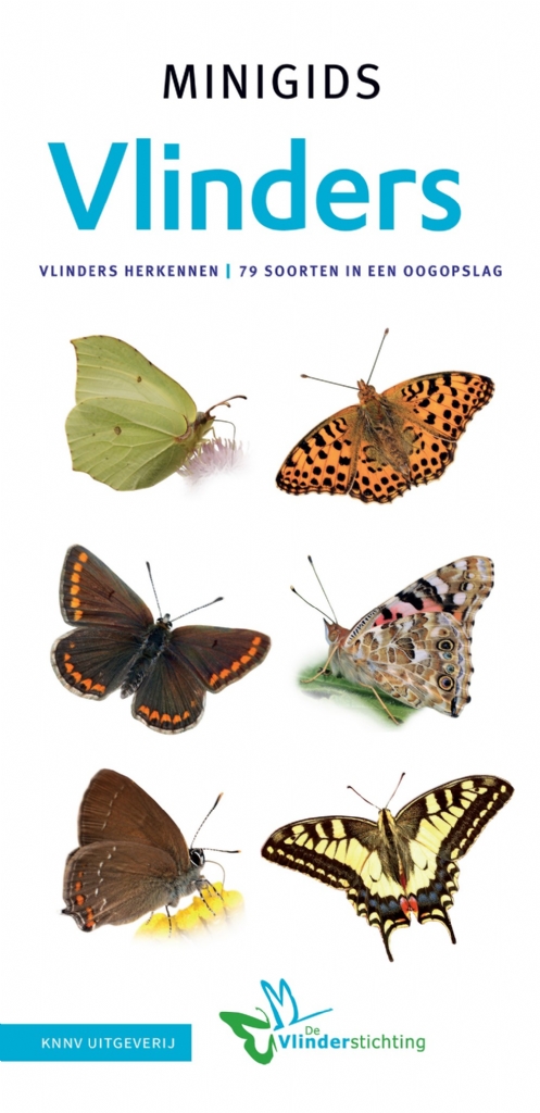 Online bestellen: Natuurgids Minigids Vlinders | KNNV Uitgeverij