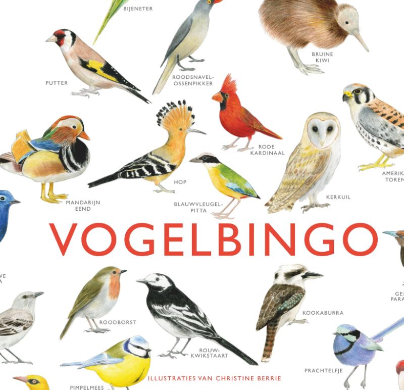 Spel Vogelbingo | Kosmos Uitge…