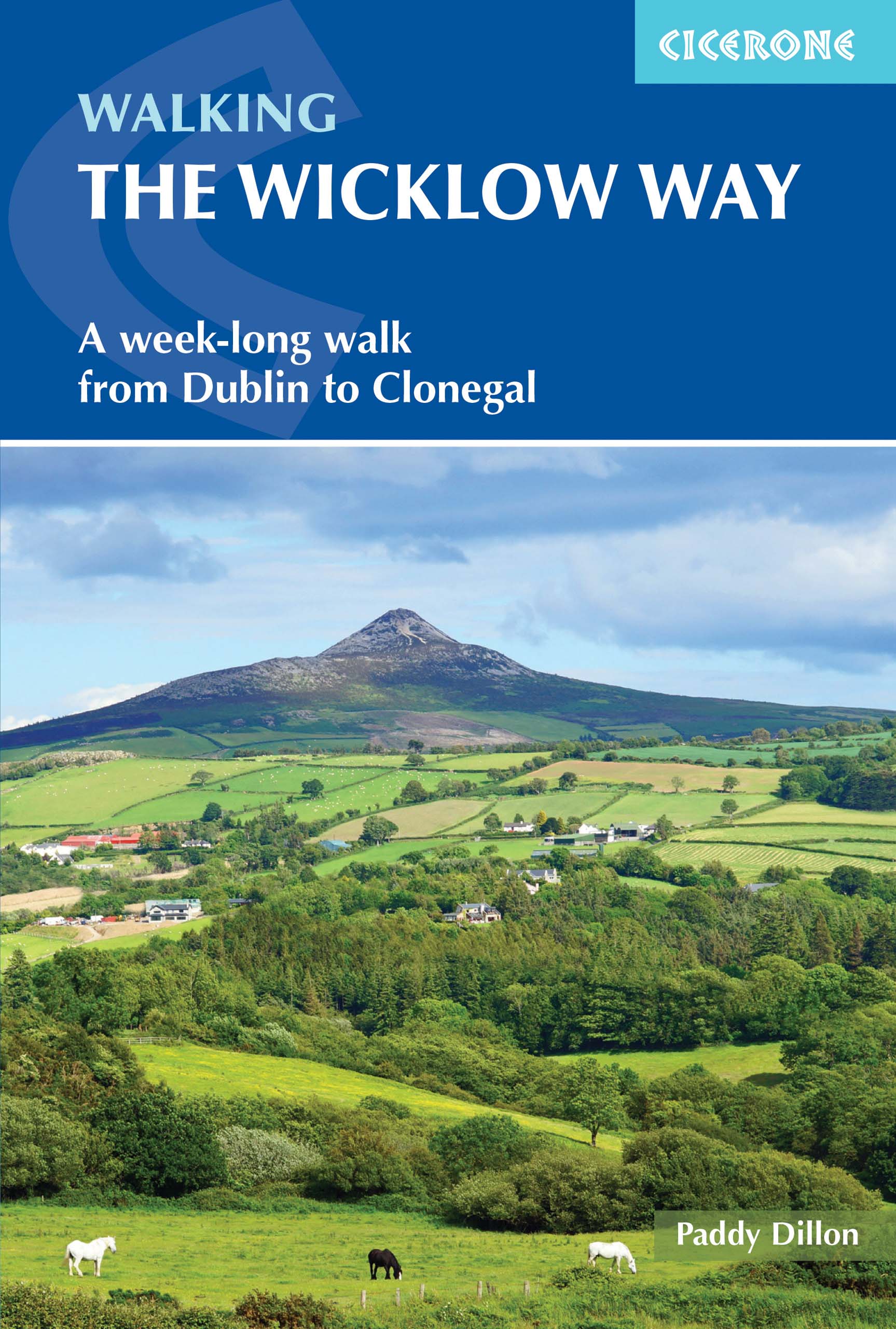 Online bestellen: Wandelgids Walking the Wicklow Way | Cicerone