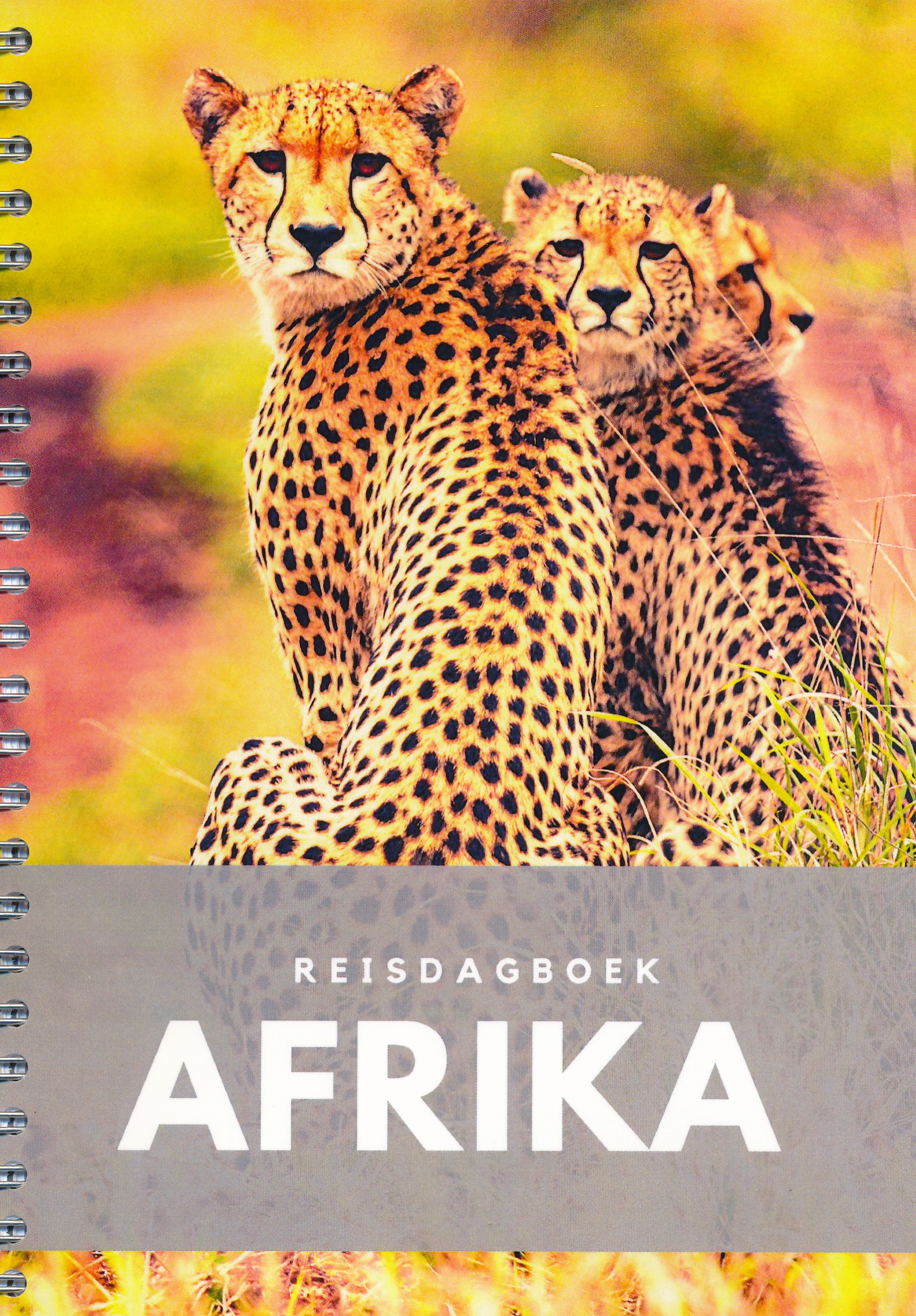 Reisdagboek Afrika | Perky Pub…