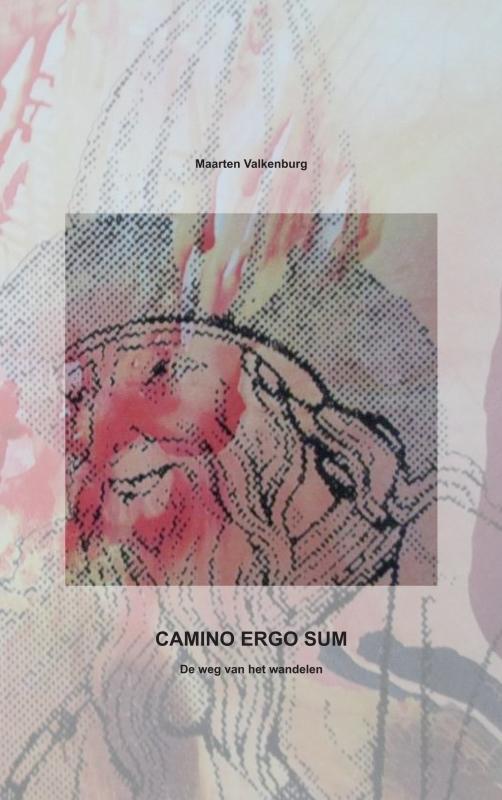 Wandelgids CAMINO ERGO SUM | B…