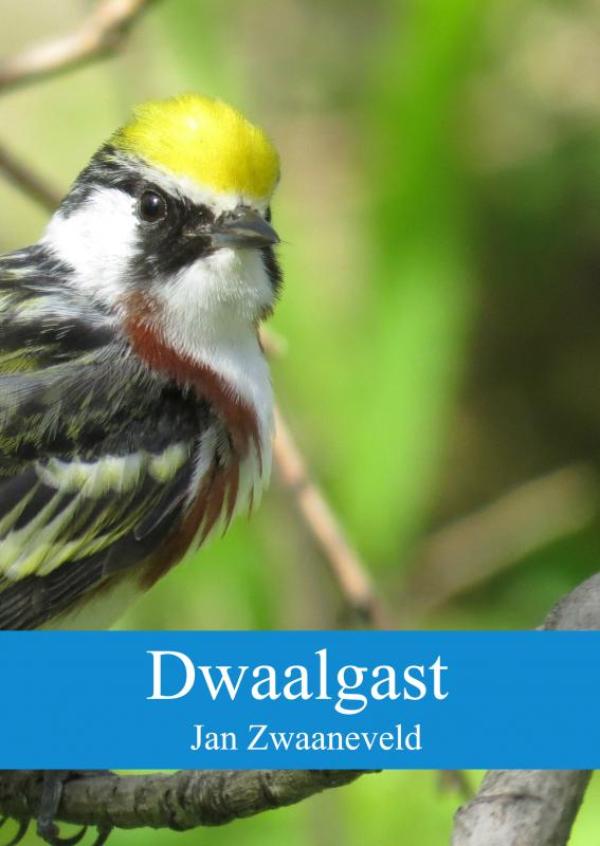 Reisverhaal Dwaalgast | Jan Zw…