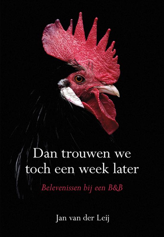 Reisverhaal Dan trouwen we toch een week later | Jan van der Leij