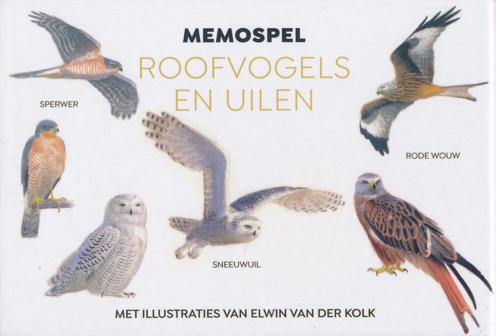 Spel Memospel Roofvogels en Ui…