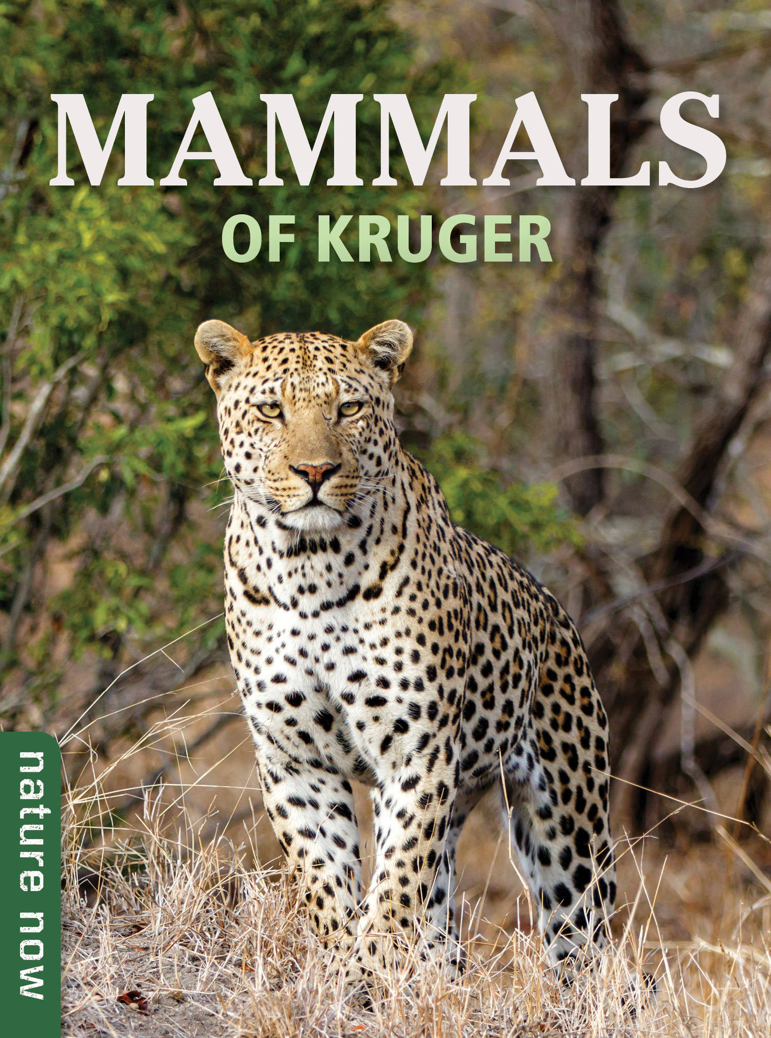 Online bestellen: Natuurgids Nature Now Mammals of Kruger | Struik Nature