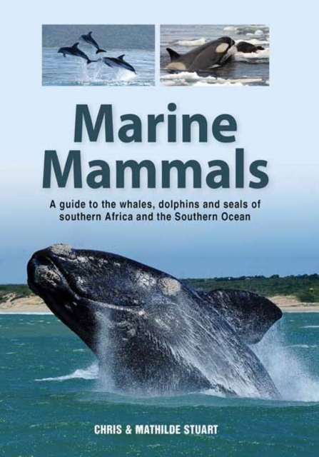 Online bestellen: Natuurgids Marine Mammals | Struik Nature