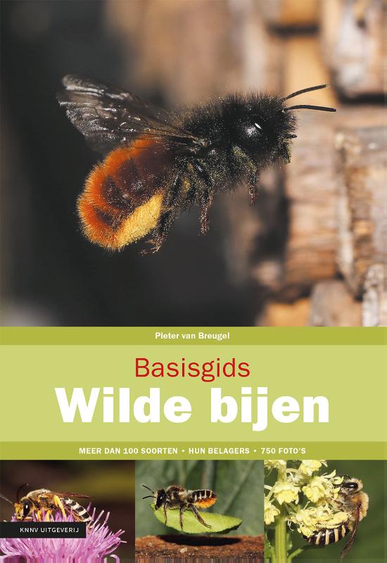 Online bestellen: Natuurgids Basisgids Basisgids wilde bijen