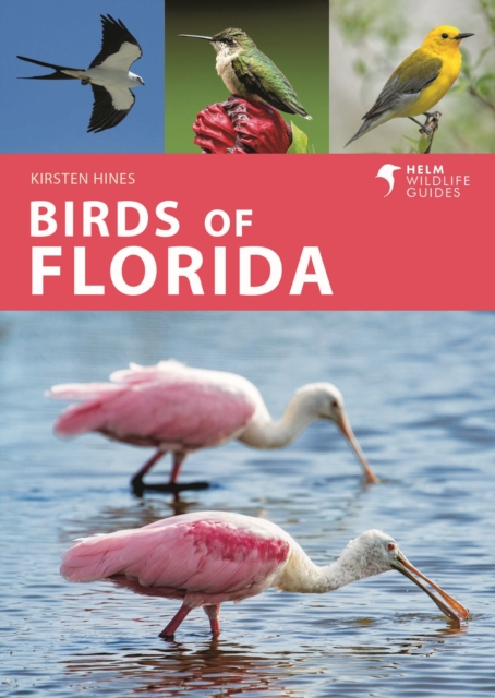 Vogelgids Birds of Florida | H…