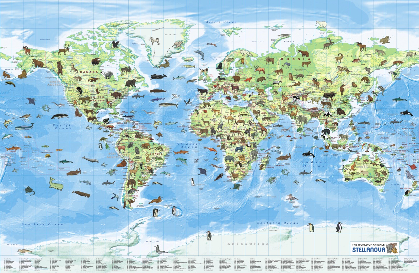 Kinderwereldkaart The world of…