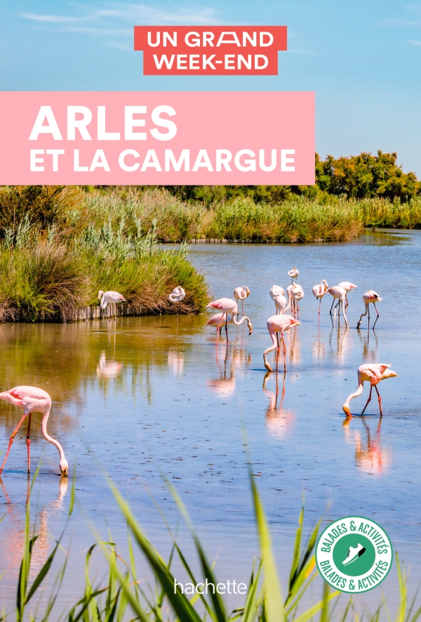 Online bestellen: Reisgids Arles & la Camargue | Le Routard