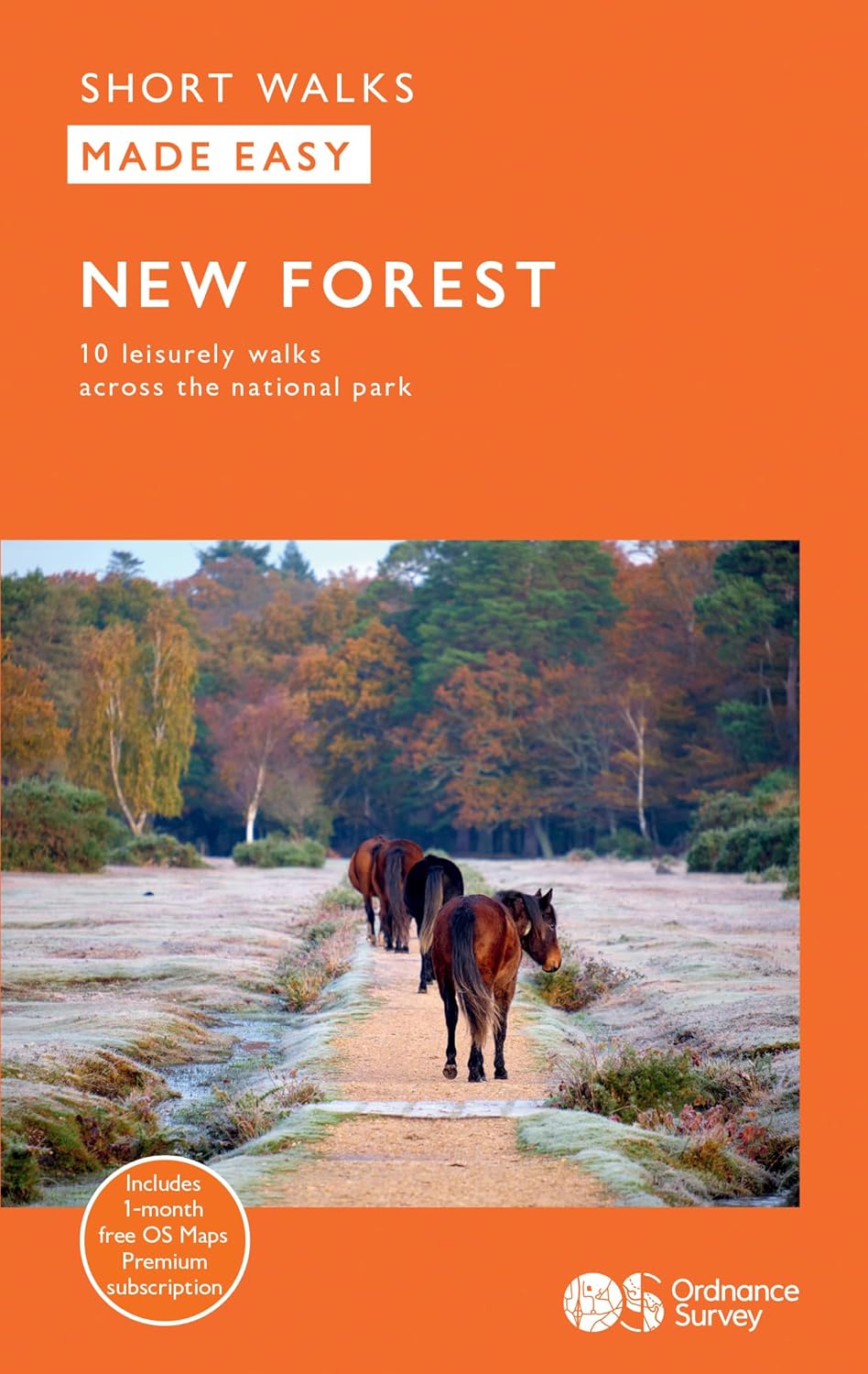 Wandelgids New Forest 10 leisu…