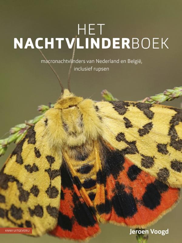 Online bestellen: Natuurgids Het nachtvlinderboek | KNNV Uitgeverij