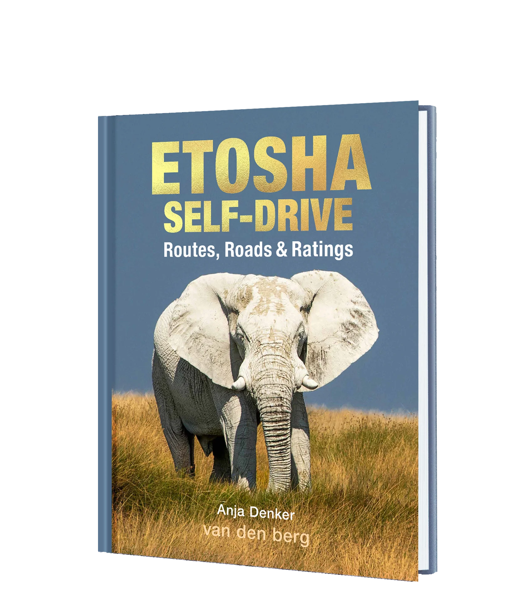 Reisgids Etosha Self-Drive | H…