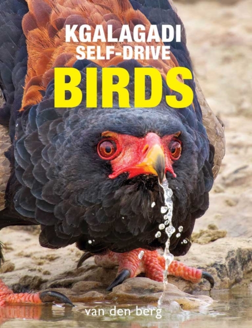 Online bestellen: Vogelgids Kgalagadi Self-Drive Birds | HPH Publishing