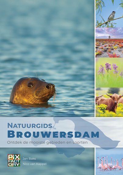 Online bestellen: Vogelgids - Natuurgids Brouwersdam | PIXFactory