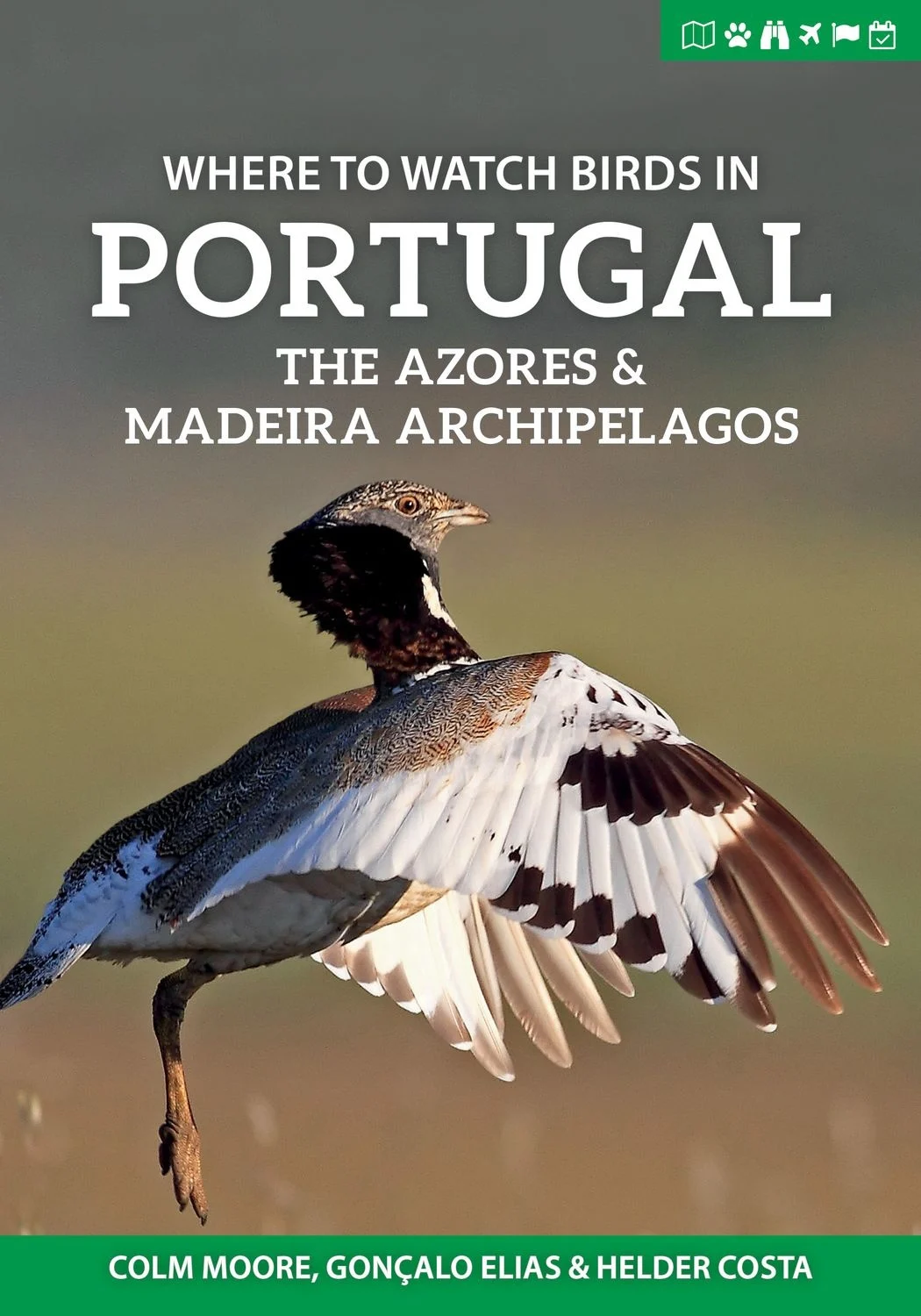 Online bestellen: Vogelgids Where to Watch Birds in Portugal, the Azores & Madeira Archipelagos | Pelagic Publishing