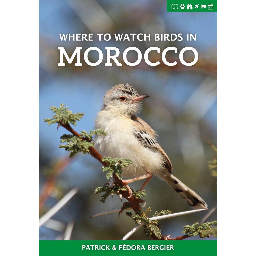 Online bestellen: Vogelgids Where to Watch Birds in Morocco | Pelagic Publishing