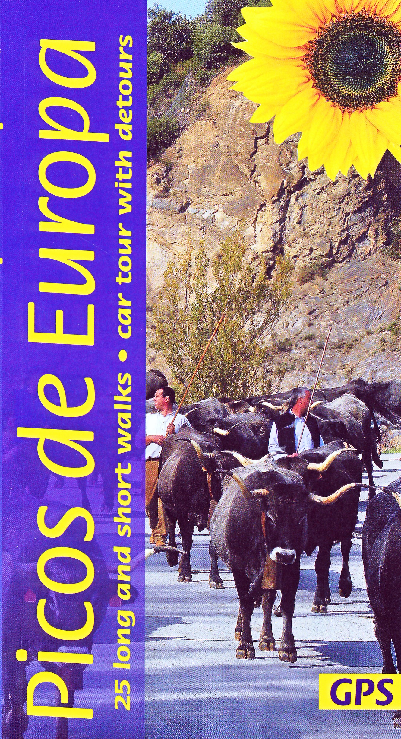 Online bestellen: Wandelgids Picos de Europa | Sunflower books